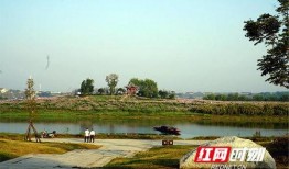 十洲公园爆料视频最新,揭秘公园神秘角落与不为人知的秘密